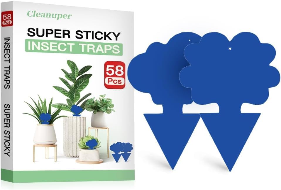 100 Pack Gnat Killer Sticky Traps for Plants - Green Fungus Gnat Sticky Trap for Indoor Houseplants, Fruit Flies, Whiteflies, Aphids - Family Friendly Design, Flower and Cloud Shapes