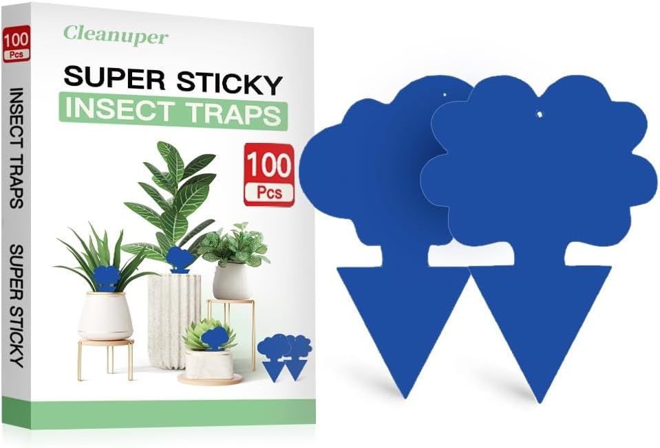 100 Pack Gnat Killer Sticky Traps for Plants - Green Fungus Gnat Sticky Trap for Indoor Houseplants, Fruit Flies, Whiteflies, Aphids - Family Friendly Design, Flower and Cloud Shapes