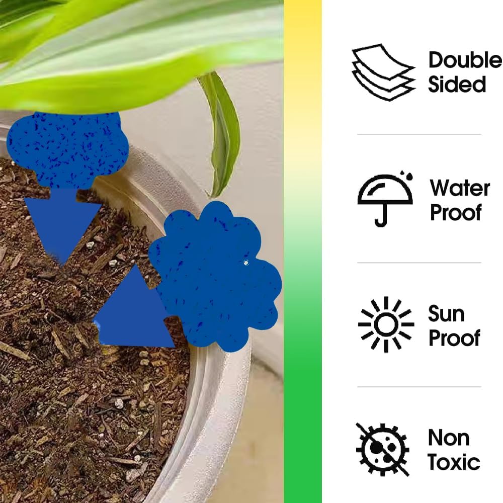 100 Pack Gnat Killer Sticky Traps for Plants - Green Fungus Gnat Sticky Trap for Indoor Houseplants, Fruit Flies, Whiteflies, Aphids - Family Friendly Design, Flower and Cloud Shapes